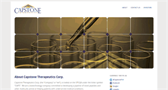 Desktop Screenshot of capstonethx.com