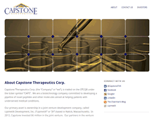 Tablet Screenshot of capstonethx.com